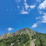 Bristol 3*