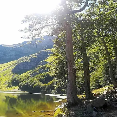 Bristol Отель