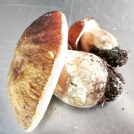 Ξενοδοχείο Bristol