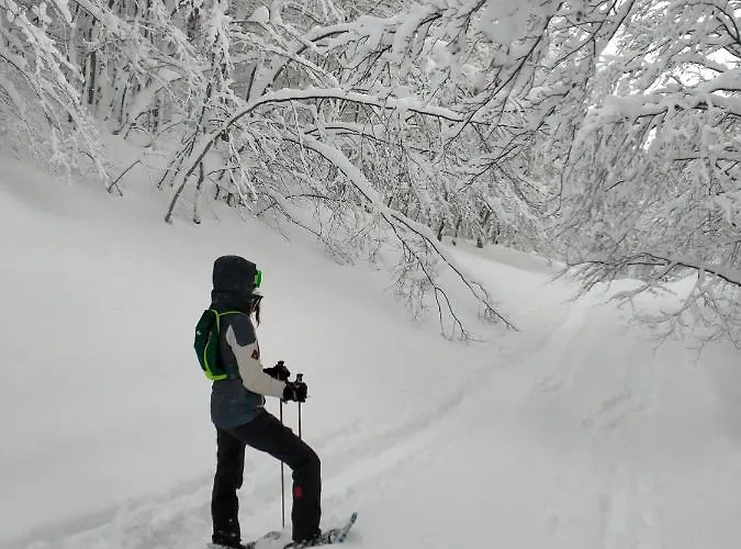 Bristol 3* פיומאלבו