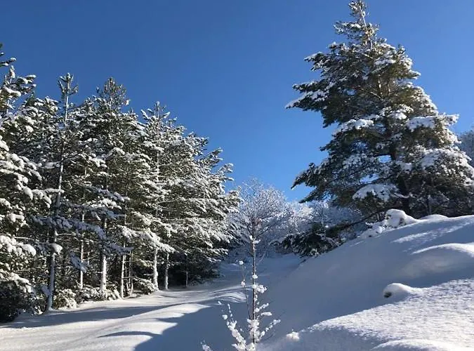 호텔 Bristol 퓨말보