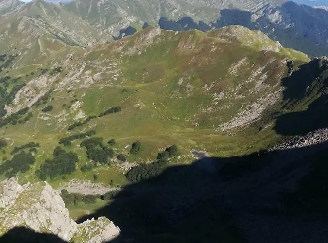 호텔 Bristol 퓨말보