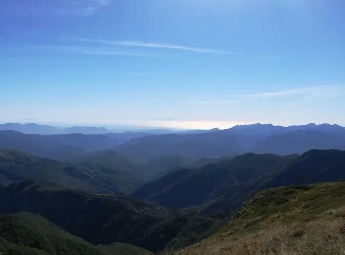 מלון Bristol פיומאלבו